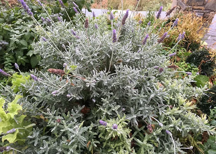 Летний дом Aethri Pelion Портария